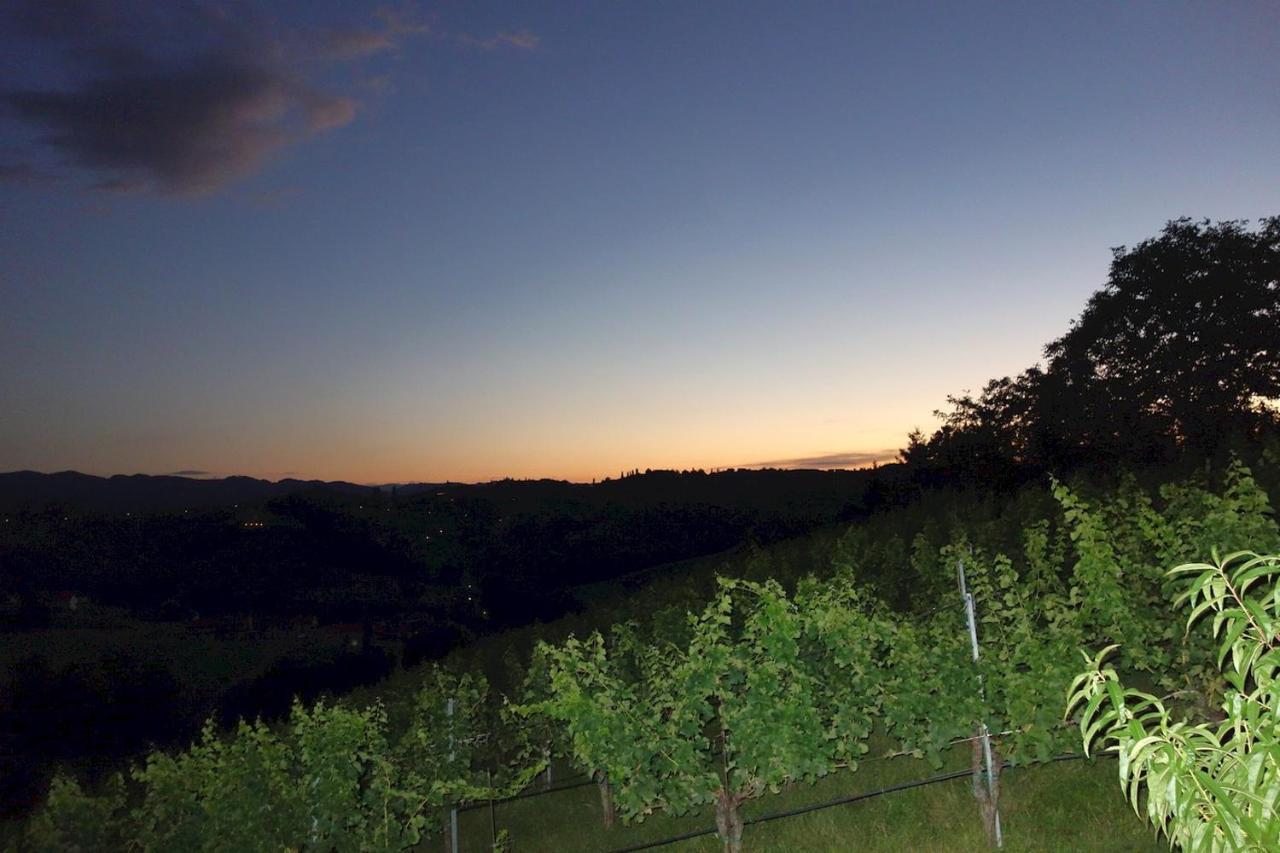 Das Weinberghaus Ratsch an der Weinstraße Exterior foto